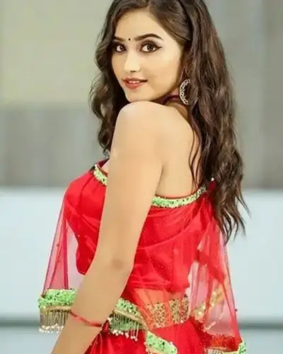 Call Girls Service Palladam